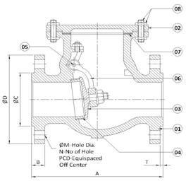 Check Valve