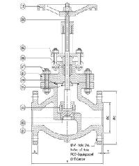 Globe Valve