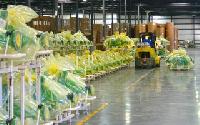 Shared Space Warehousing service