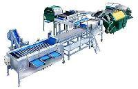 fruit grading machines