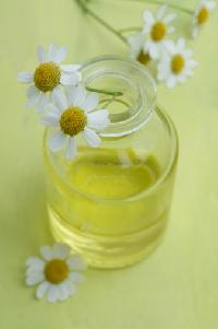 German Chamomile Oil