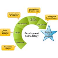 Business Software Development