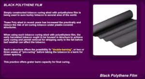 black polythene film