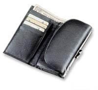 Wallet 17