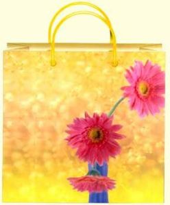 Paper Gift Bags PGB-002