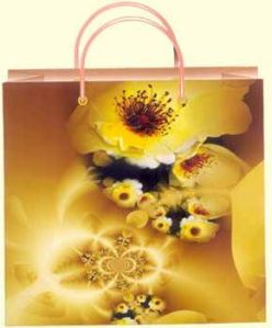 Paper Gift Bags PGB-003