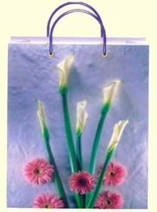 Paper Gift Bags PGB-006