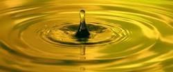 Lubricating Oil