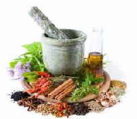 medicinal plants extracts