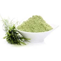 Wheatgrass Powder