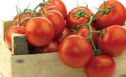 Natural Lycopene