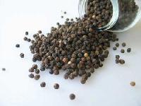 Black Pepper Seeds