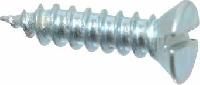 Stainless Steel Screw