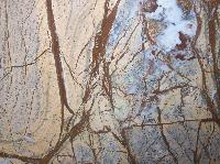 Rainforest Marble