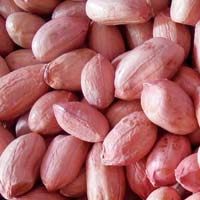 Peanut Kernels