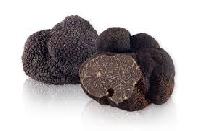 Fresh Truffles