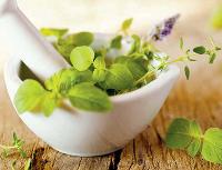 herbal veterinary medicines