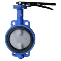 Butterfly Valve