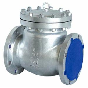 Swing Check Valve