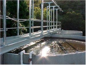 Municiple Sewage Treatment Plants