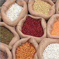 Pulses Seeds