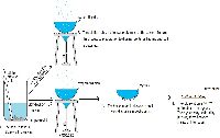 continuous evaporator