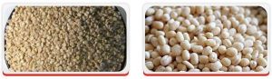 Pulses- Urad Dal Split