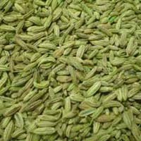 Fennel Seeds