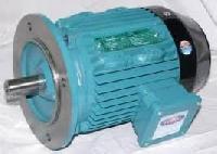 Flange Motor