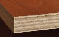 Hardwood Plywood