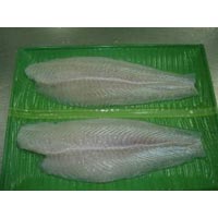 Frozen Pangasius Fillets