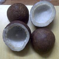 dried whole coconuts
