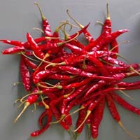 Guntur Teja Dried Red Chilli