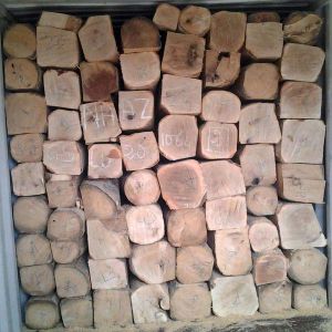 Gmelina Wood Logs