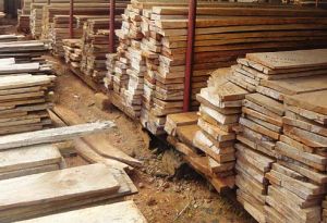 Sudan Teak Wood Planks