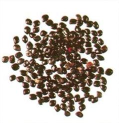 chaksoo seeds