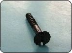 powder coated screw