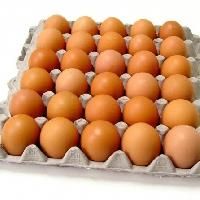 Brown Eggs