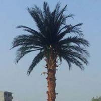 Date Palm Artificial Tree (BT-14)