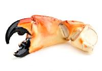 crab claws