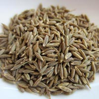 Cumin Seed