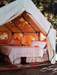 fancy tent