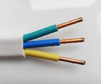 Electrical Conductor