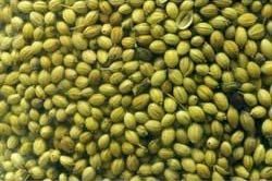 Coriander Seeds