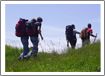 Trekking in Rishikesh