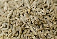 Cumin Seeds