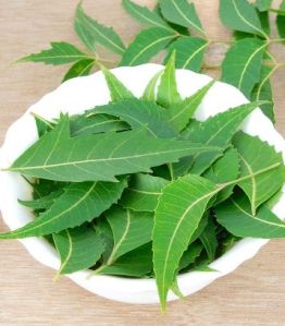 Neem Leaves