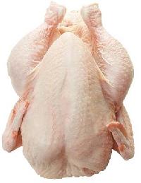 Frozen Chicken Meat