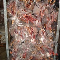 Frozen Lamb Meat