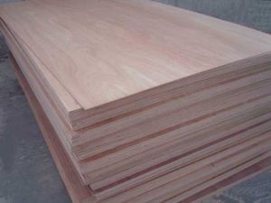 Commercial Plywood